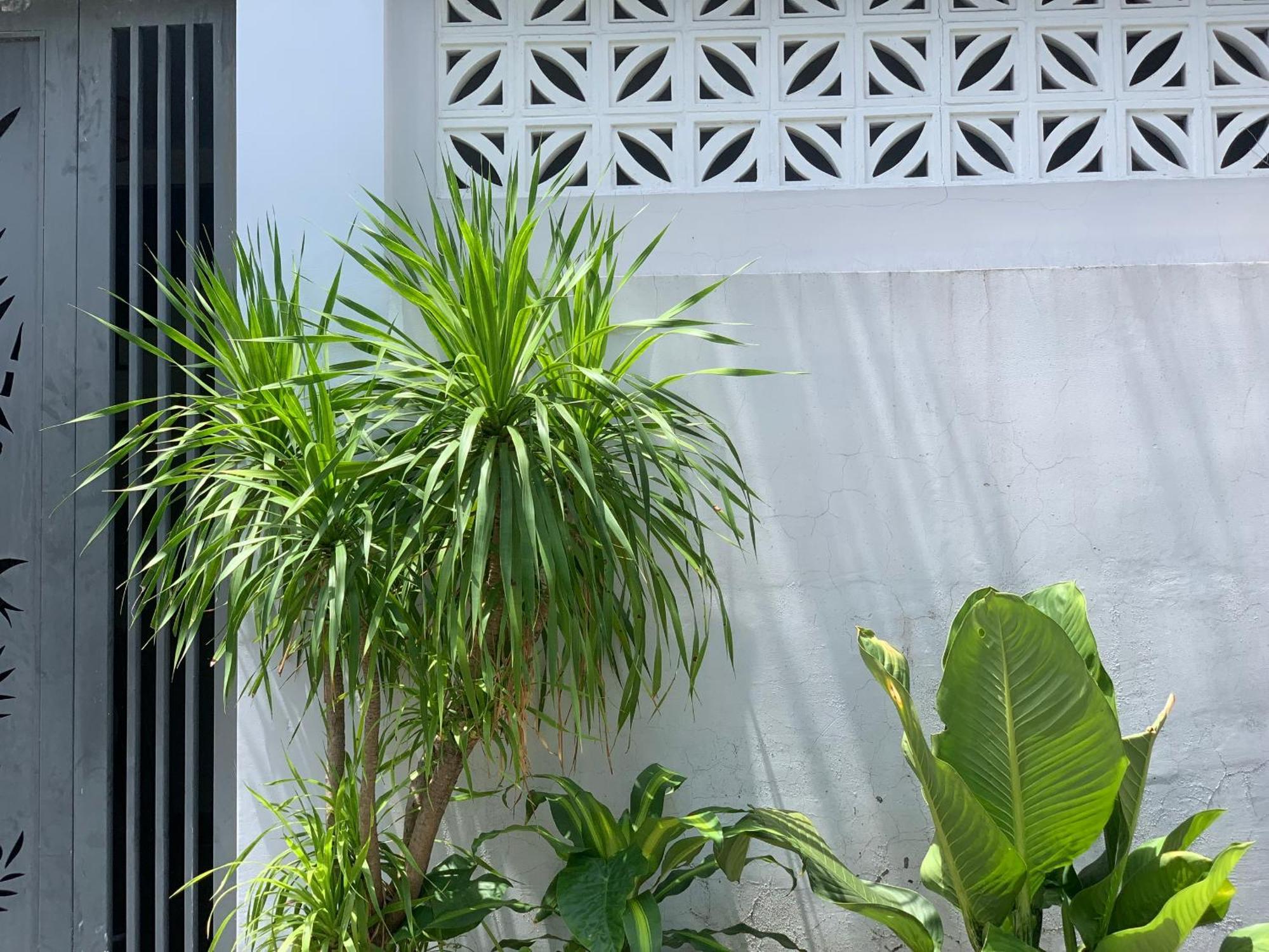 Tina House Apartment Da Nang